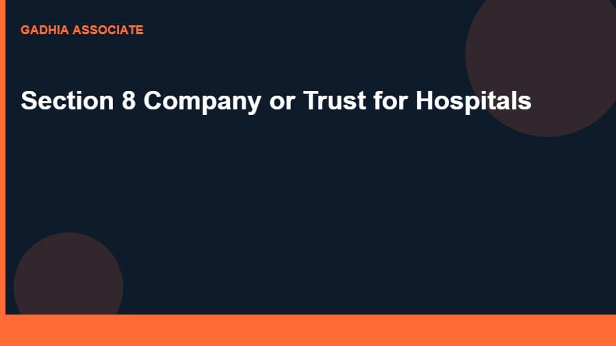 Section 8 Company or Trust: Which Structure Should You Choose for Your Hospital?