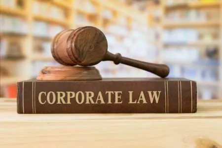  Key Differences Between Rights Issue and Private Placement under Companies Act, 2013